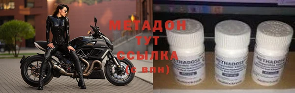 прущие грибы Алзамай
