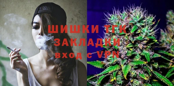 прущие грибы Алзамай