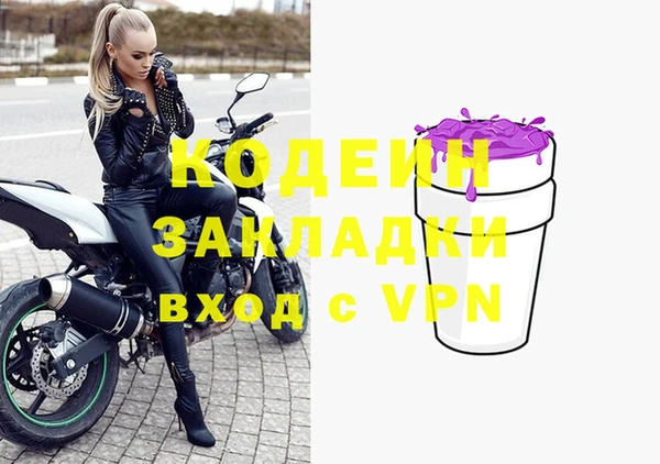 прущие грибы Алзамай