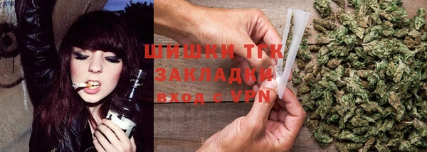 прущие грибы Алзамай