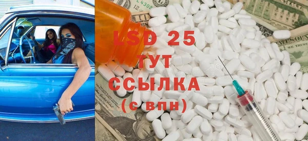прущие грибы Алзамай