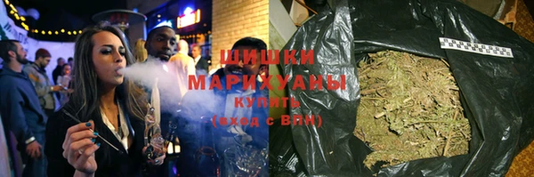 прущие грибы Алзамай
