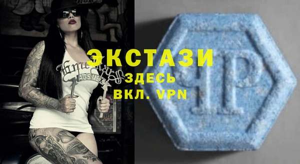 прущие грибы Алзамай