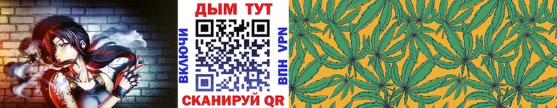 Бошки марихуана SATIVA & INDICA  ОМГ ОМГ как зайти  Нефтекумск  продажа наркотиков 